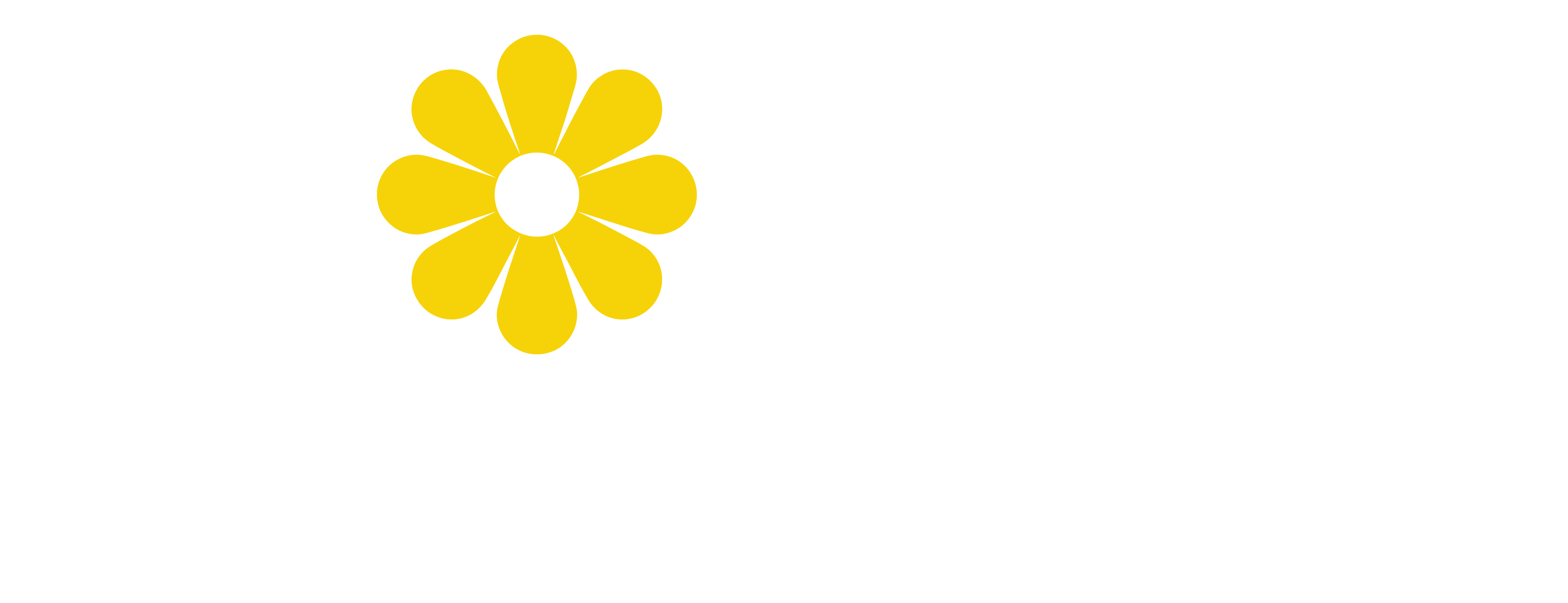 Anita's Fahrschule Logo